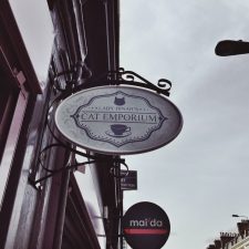 Lady Dinah’s Cat Emporium