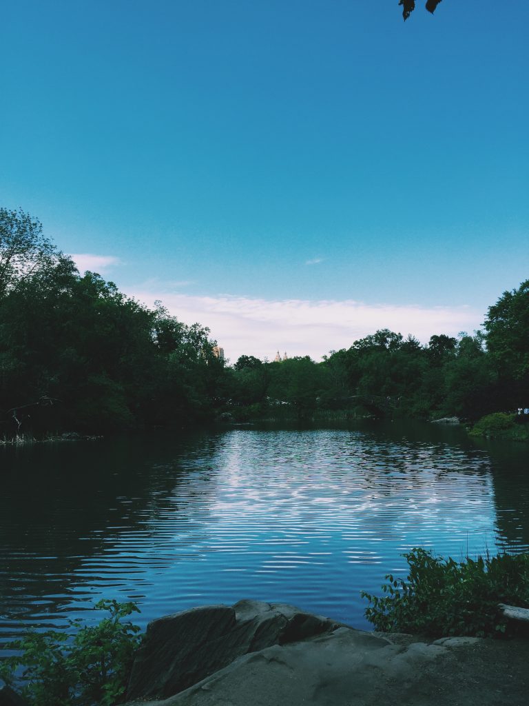 Central Park