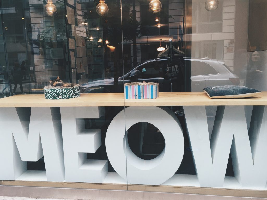 Meow Parlour