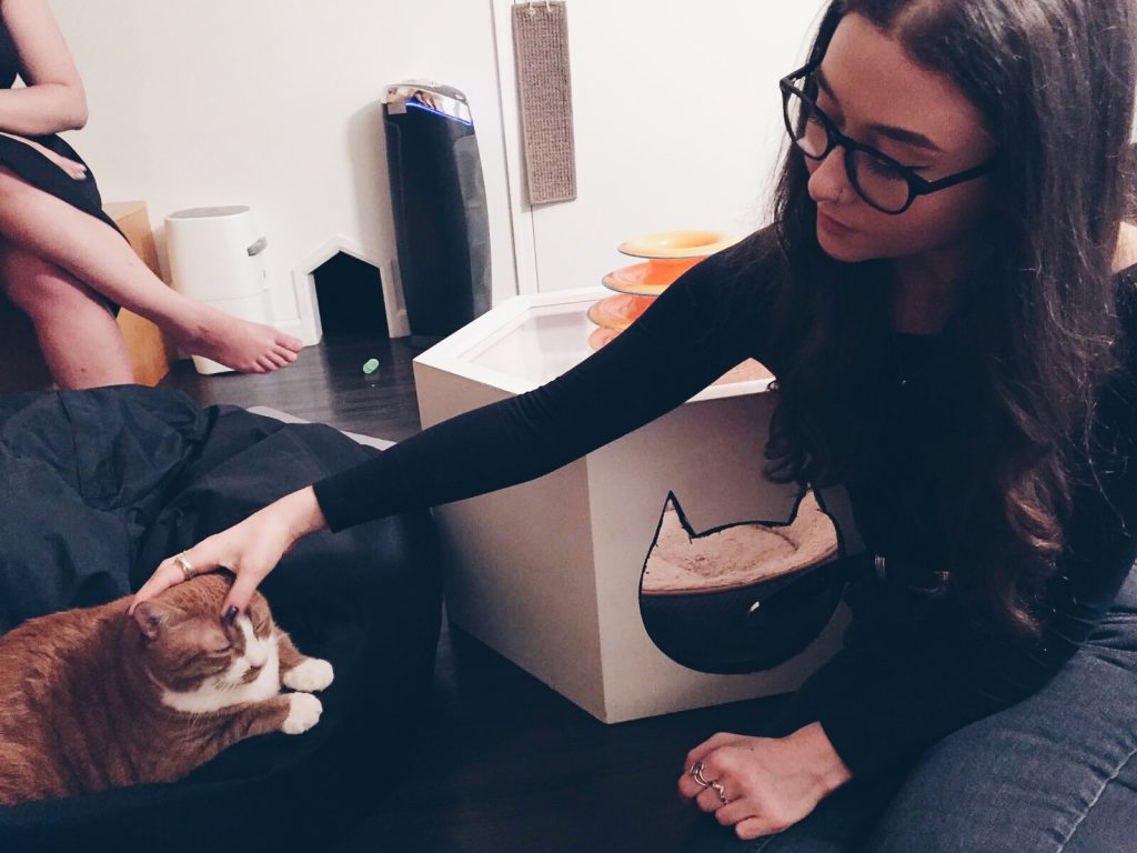 Meow Parlour