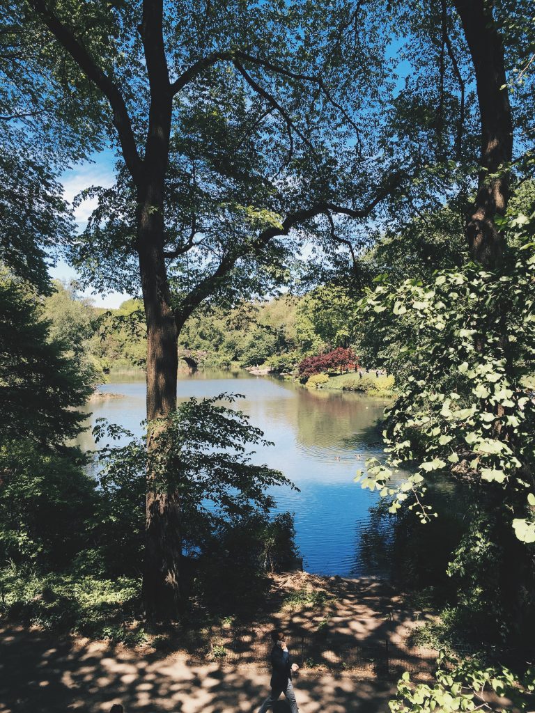 Central Park
