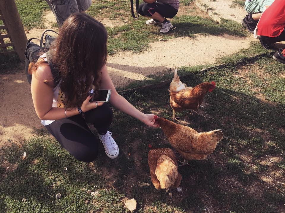 Edgar's Mission | eat, write + explore