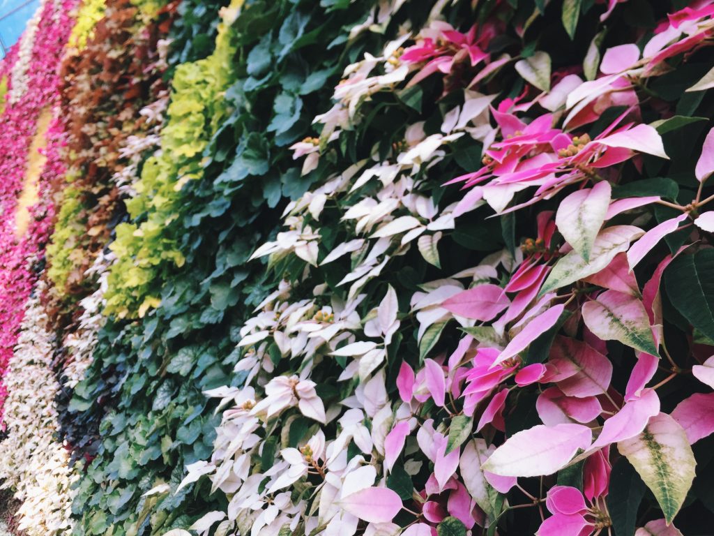 The Calyx, Royal Botanic Gardens | eat. write + explore 