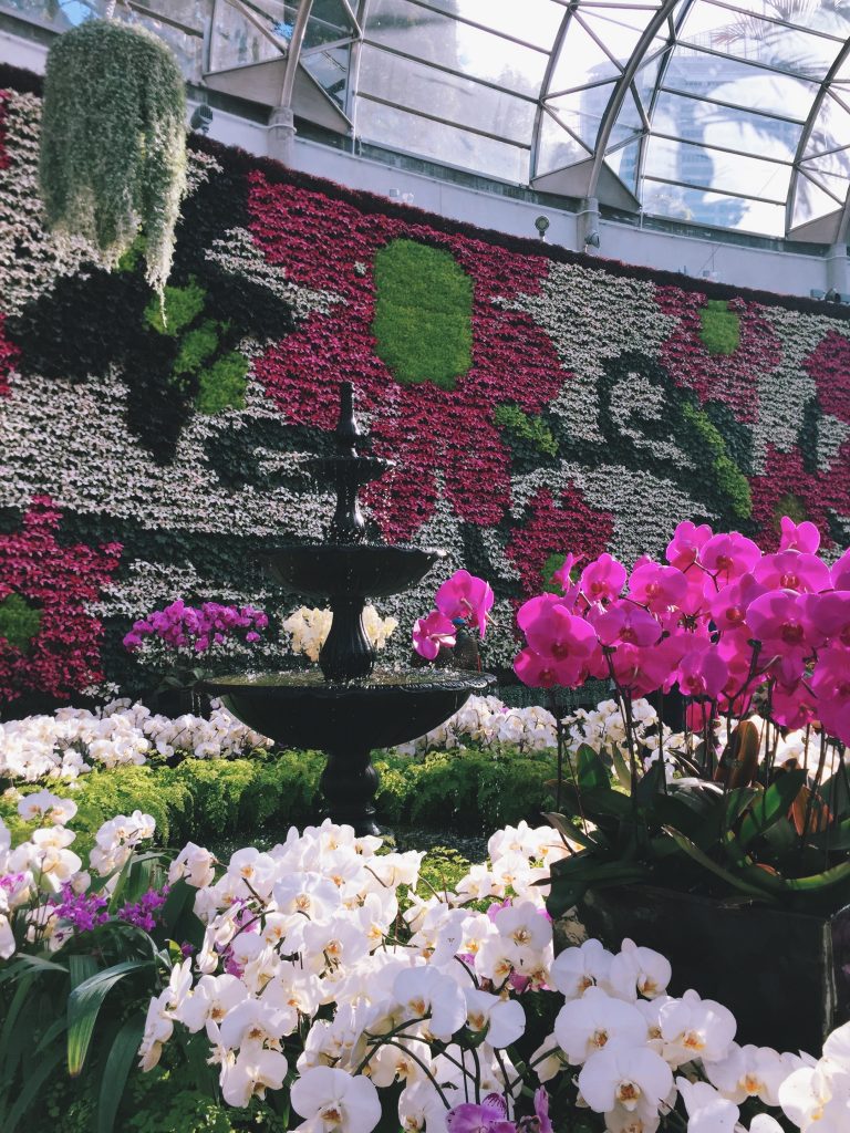 The Calyx, Royal Botanic Gardens | eat. write + explore 