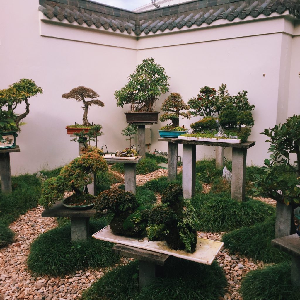 Chinese Garden of Friendship, Darling Harbour | eat, write + explore