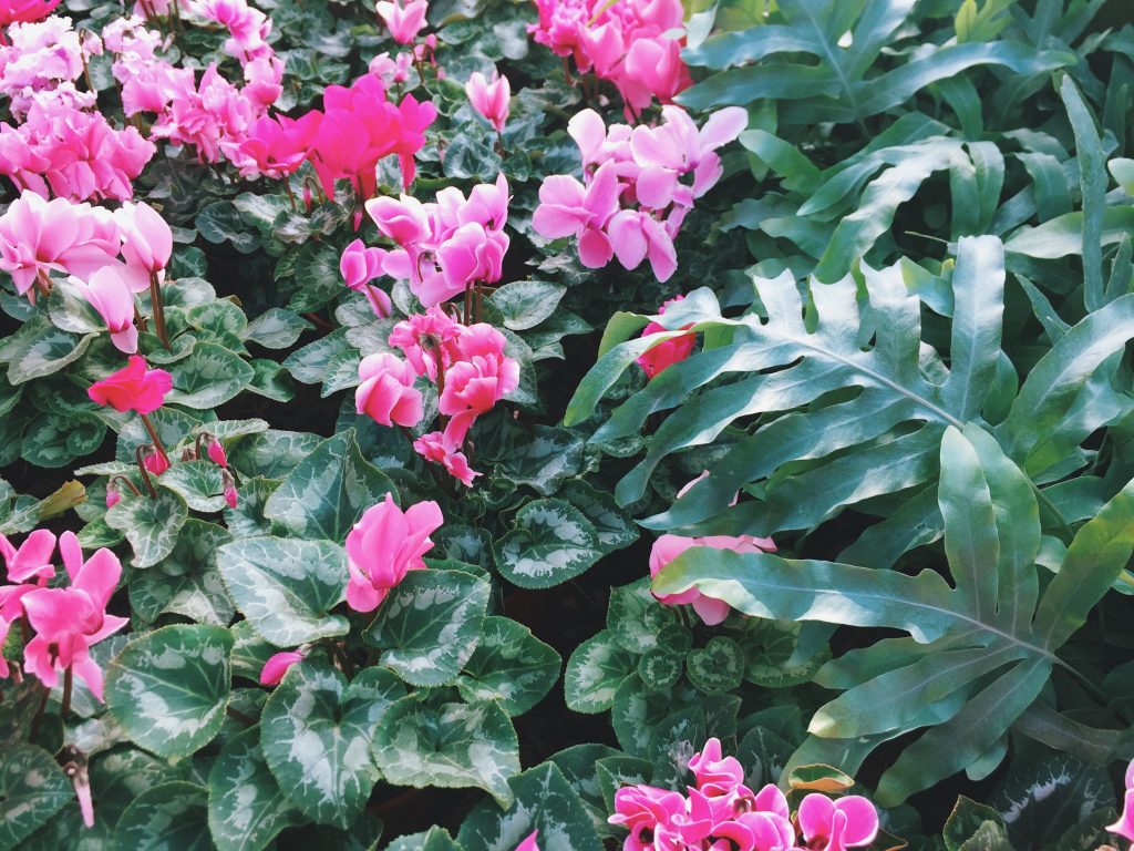 The Calyx, Royal Botanic Gardens | eat. write + explore 