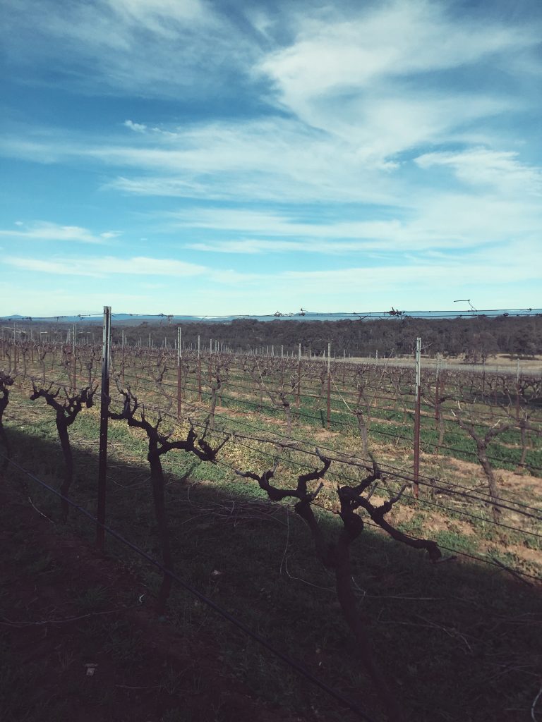 Hunter Valley | eat, write + explore